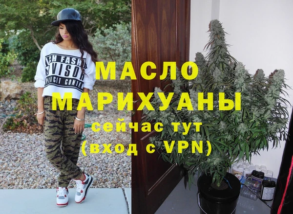индика Сатка