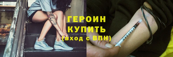 индика Сатка