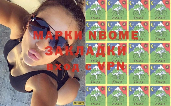 индика Сатка