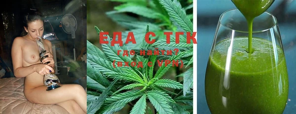 индика Сатка
