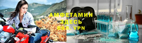 индика Сатка