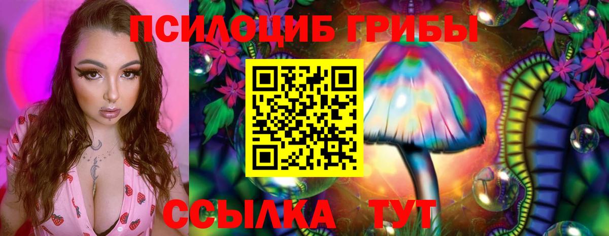 Псилоцибиновые грибы ЛСД Лосино-Петровский